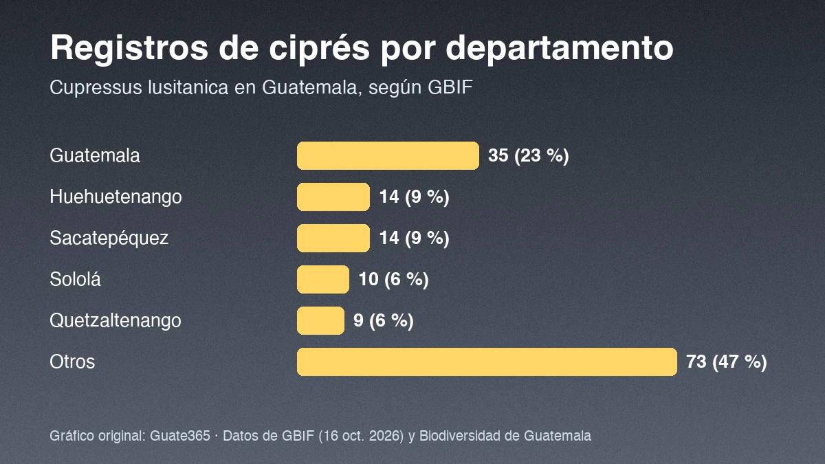 Barras con registros de ciprés por departamento en Guatemala: Guatemala 35, Huehuetenango 14, Sacatepéquez 14, Sololá 10, Quetzaltenango 9, otros 73