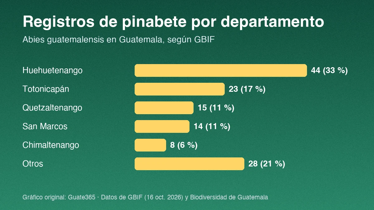 Barras con registros de pinabete por departamento en Guatemala: Huehuetenango 44, Totonicapán 23, Quetzaltenango 15, San Marcos 14, Chimaltenango 8, otros 28