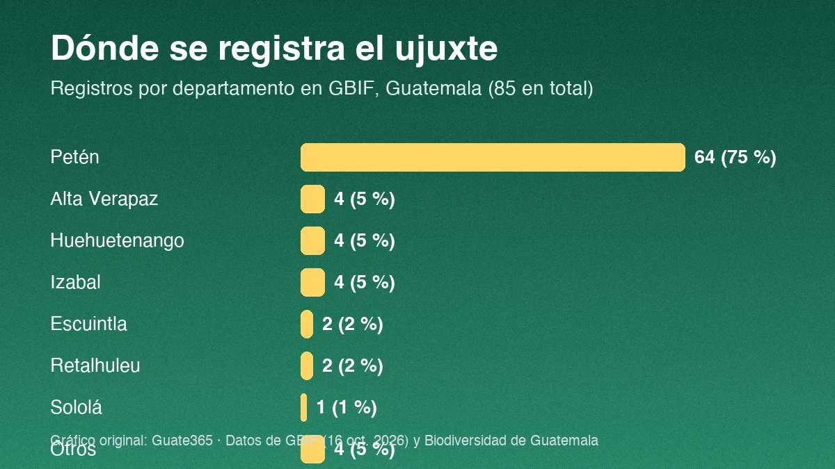 Gráfico de barras con registros de ujuxte por departamento en Guatemala: Petén 64, Alta Verapaz 4, Huehuetenango 4, Izabal 4