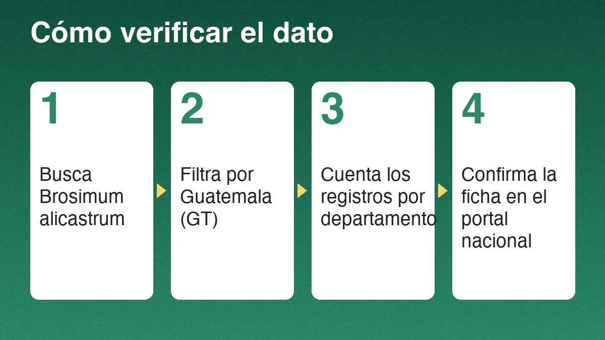 Cuatro pasos para verificar el registro de un árbol: busca el nombre científico, filtra por Guatemala, cuenta por departamento y confirma en la ficha nacional