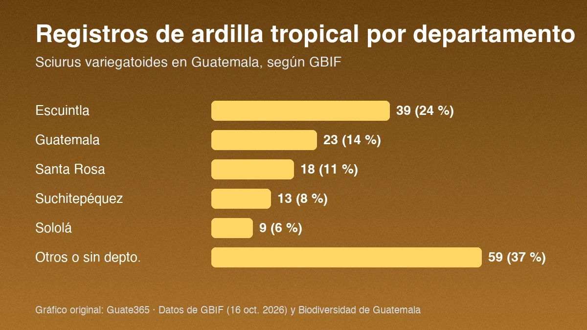 Barras con registros de ardilla tropical por departamento en Guatemala: Escuintla 39, Guatemala 23, Santa Rosa 18, Suchitepéquez 13, Sololá 9, otros 59