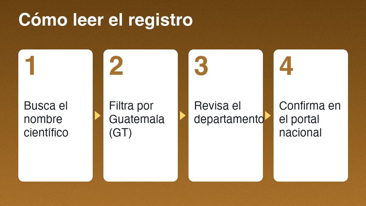 Cuatro pasos para verificar un registro de ardilla tropical: buscar el nombre científico, filtrar por Guatemala, revisar el departamento y confirmar en el portal nacional