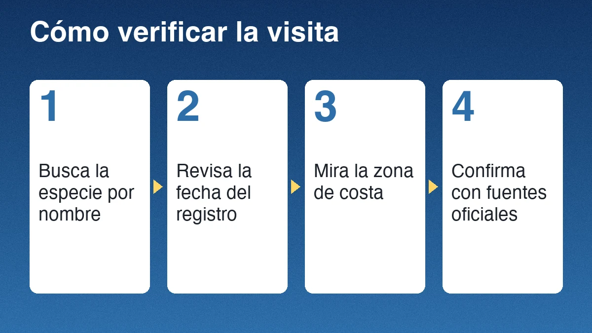 Cuatro pasos para verificar un avistamiento de cetáceos: anotar fecha y lugar, pedir el registro al operador, comparar con GBIF y confirmar con fuentes oficiales