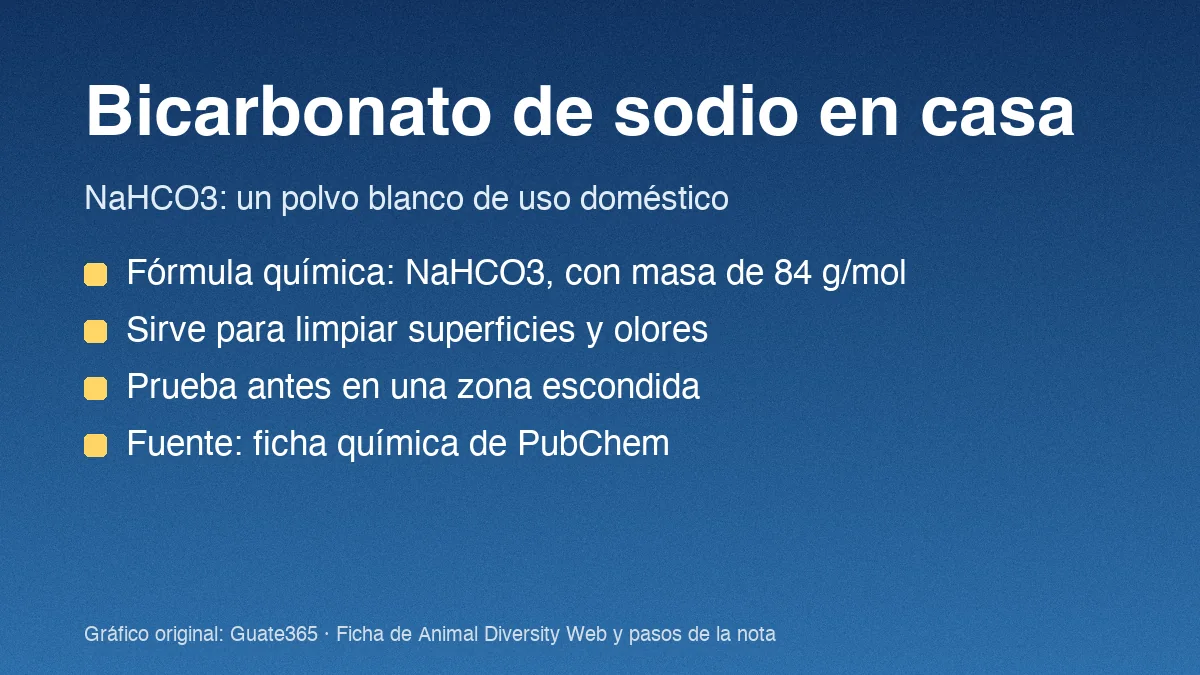 Tarjeta con el título Bicarbonato de sodio en casa y dos datos químicos del producto