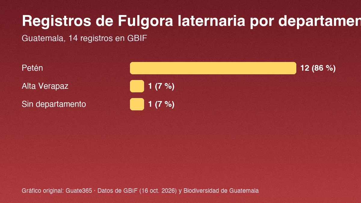 Barras con los registros de Fulgora laternaria por departamento: Petén 12, Alta Verapaz 1 y un registro sin departamento