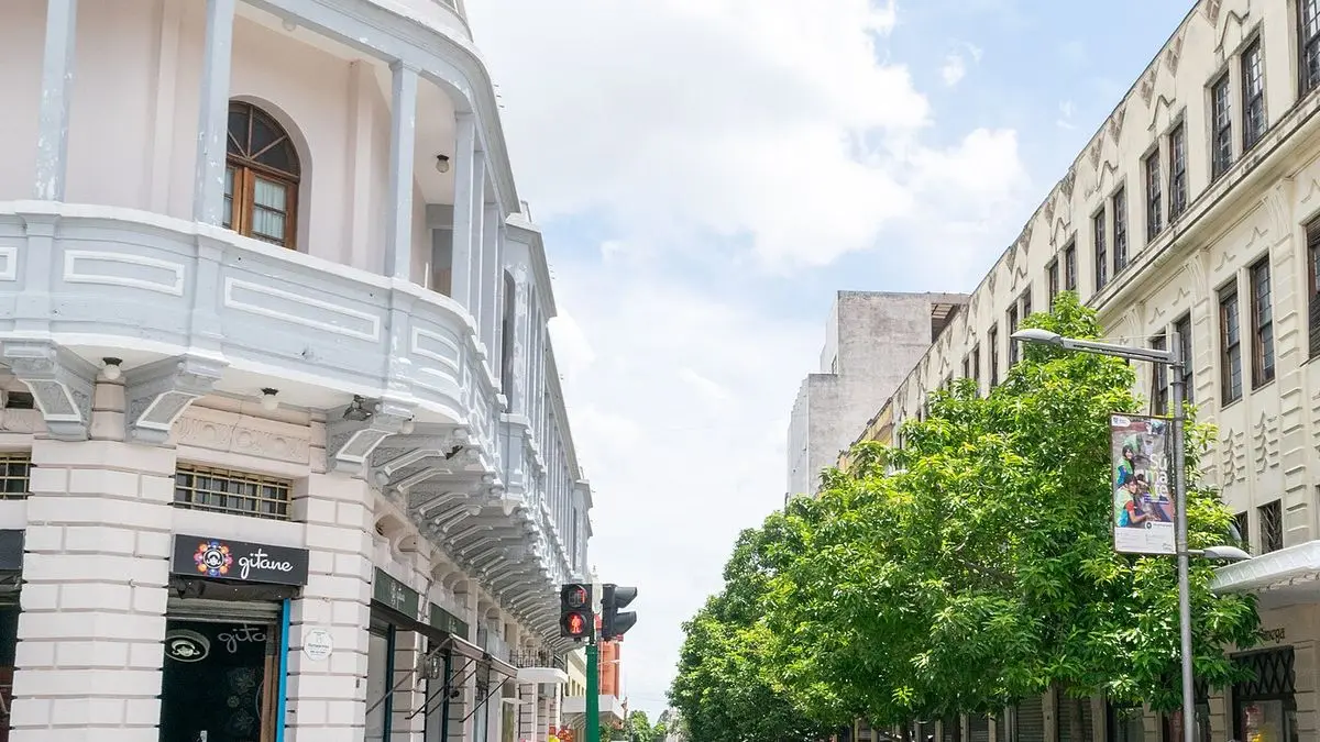 Edificios del Centro Histórico de la Ciudad de Guatemala vistos desde la calle, con árboles y semáforo