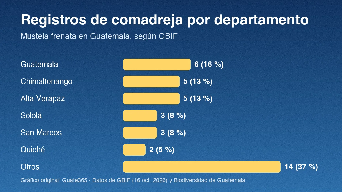 Barras con registros de comadreja de cola larga por departamento en Guatemala: Guatemala 6, Chimaltenango 5, Alta Verapaz 5, Sololá 3, San Marcos 3, Quiché 2 y otros 14