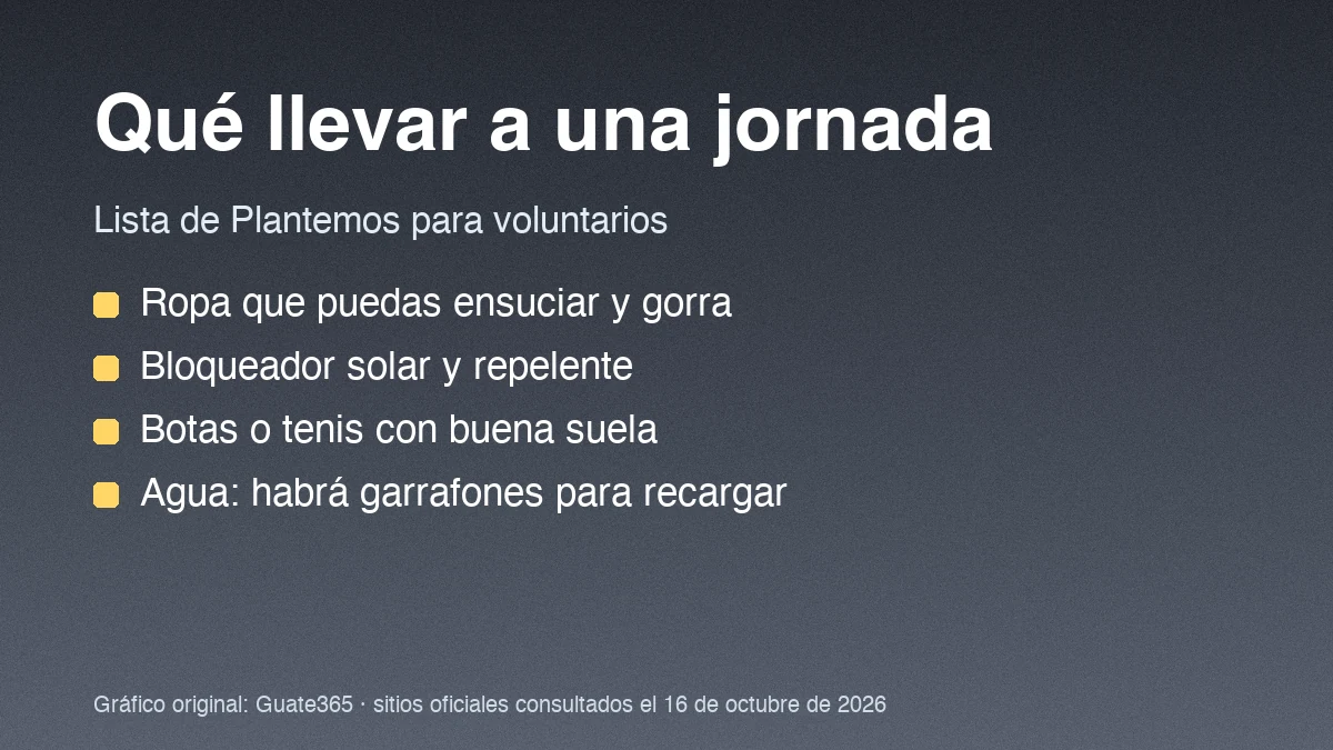 Lista de cuatro recomendaciones para una jornada de reforestación sobre fondo gris