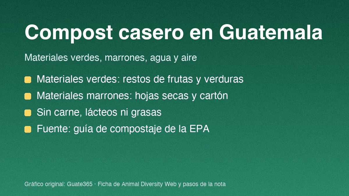 Compost casero en Guatemala: qué sí y qué no echar