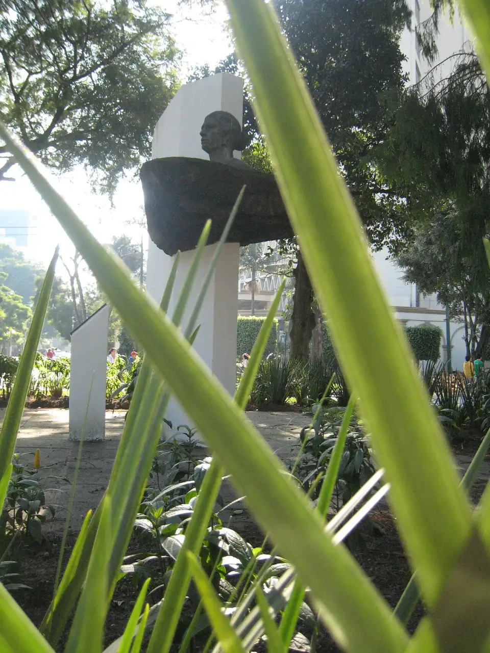 Busto gris de Dolores Bedoya de Molina sobre una base de piedra ancha, con un árbol y el follaje de un jardín al fondo