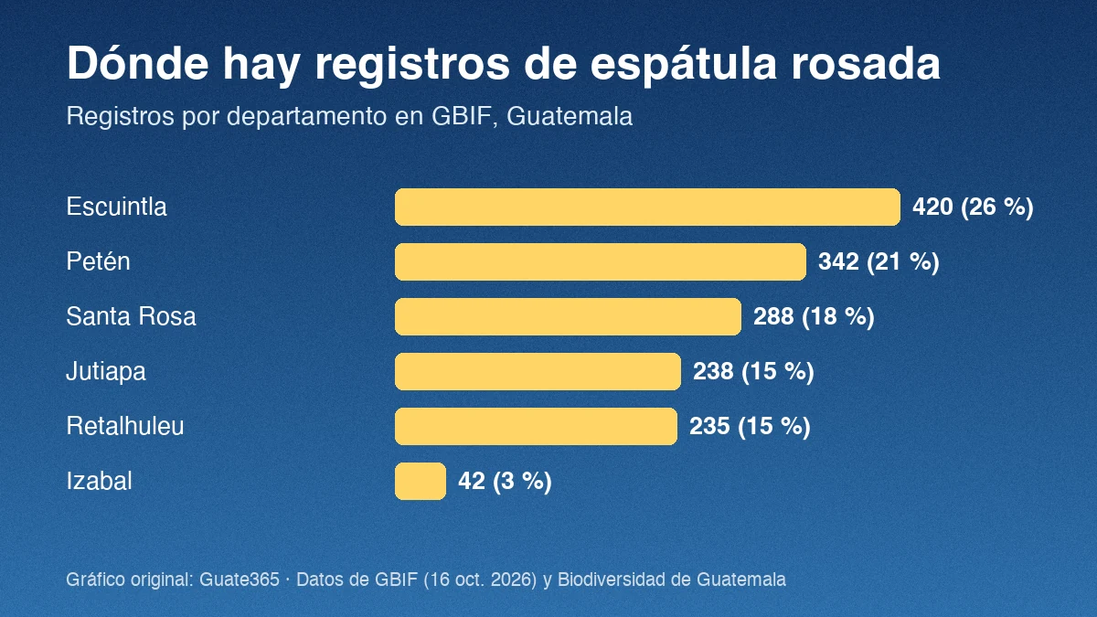 Gráfico de barras con registros de espátula rosada por departamento: Escuintla 420, Petén 342, Santa Rosa 288