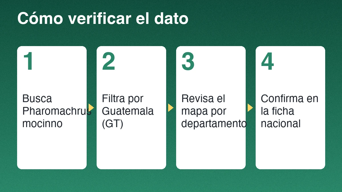 Cuatro pasos para verificar el registro de una especie: busca el nombre científico, filtra por Guatemala, revisa departamentos y confirma en la ficha nacional