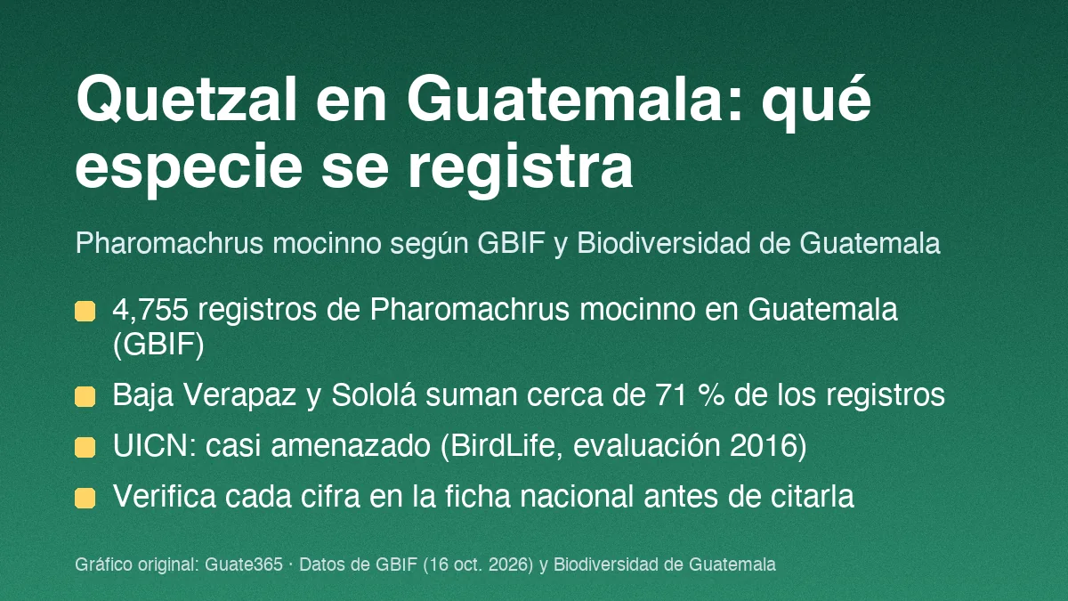 Especies de quetzal en Guatemala: qué registros hay