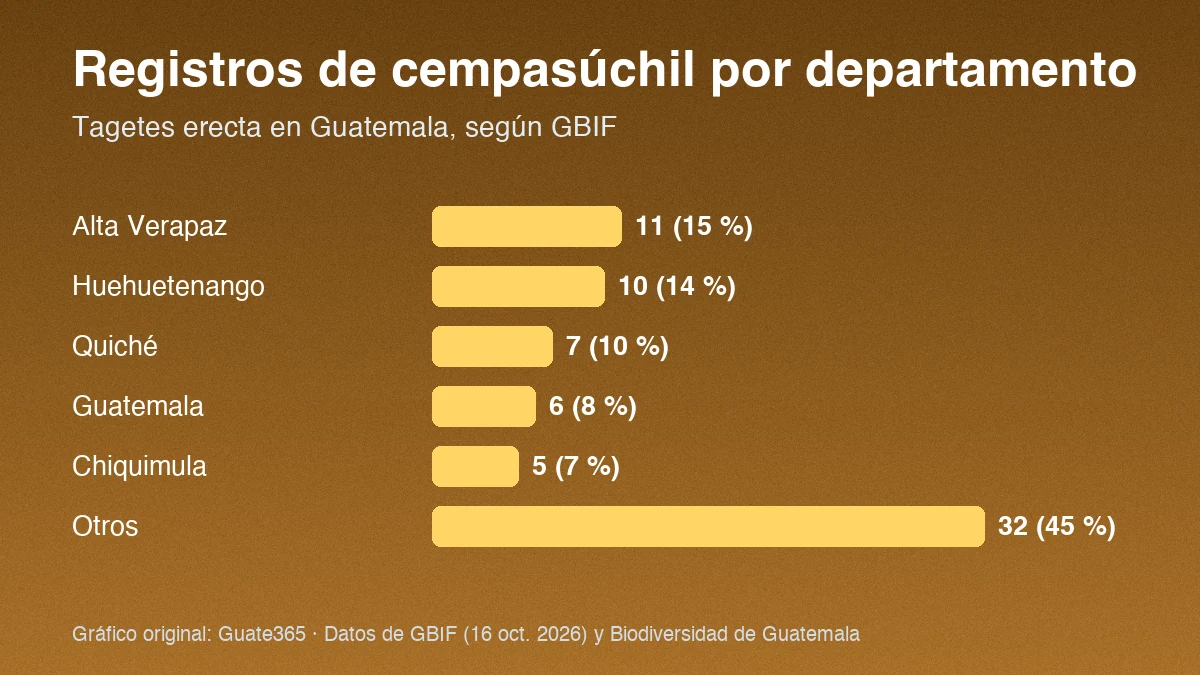 Barras con registros de cempasúchil por departamento en Guatemala: Alta Verapaz 11, Huehuetenango 10, Quiché 7, Guatemala 6, Chiquimula 5, otros 32