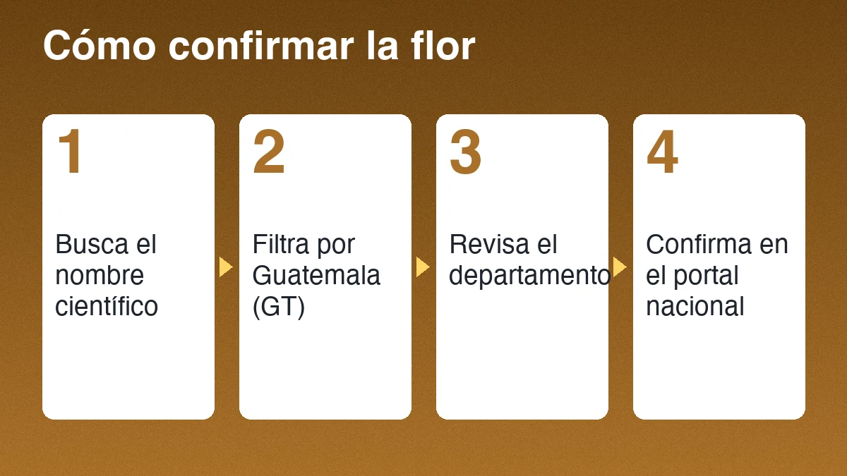 Cuatro pasos para confirmar el cempasúchil: buscar el nombre científico, filtrar por Guatemala, revisar el departamento y confirmar en el portal nacional