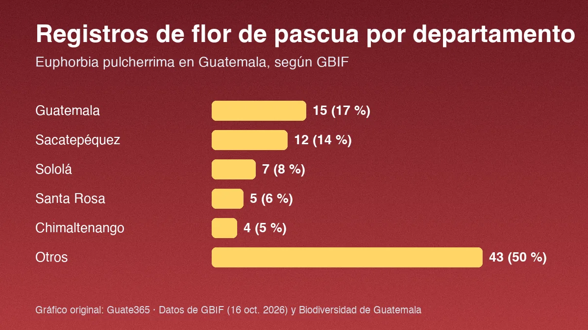 Barras con registros de flor de pascua por departamento en Guatemala: Guatemala 15, Sacatepéquez 12, Sololá 7, Santa Rosa 5, Chimaltenango 4, otros 43