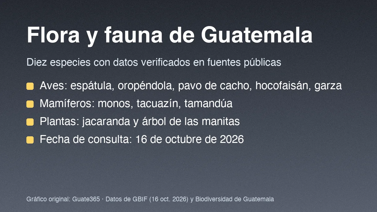 Flora y fauna de Guatemala: guía con datos verificados