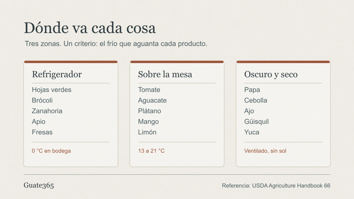 Infografía con tres columnas: refrigerador para hojas verdes, brócoli, zanahoria, apio y fresas; mesa para tomate, aguacate, plátano, mango y limón; lugar oscuro y seco para papa, cebolla, ajo, güisquil y yuca