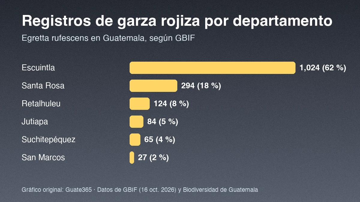 Gráfico de barras con registros de garza rojiza por departamento: Escuintla 1,024, Santa Rosa 294, Retalhuleu 124