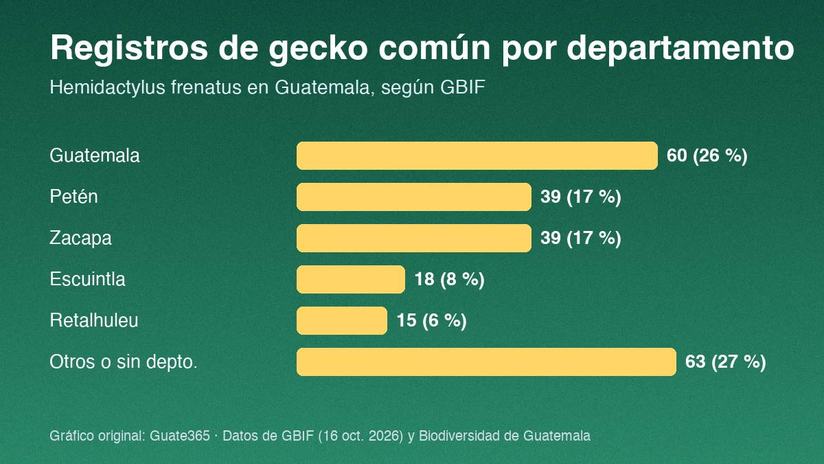 Barras con registros de gecko común por departamento en Guatemala: Guatemala 60, Petén 39, Zacapa 39, Escuintla 18, Retalhuleu 15, otros 63
