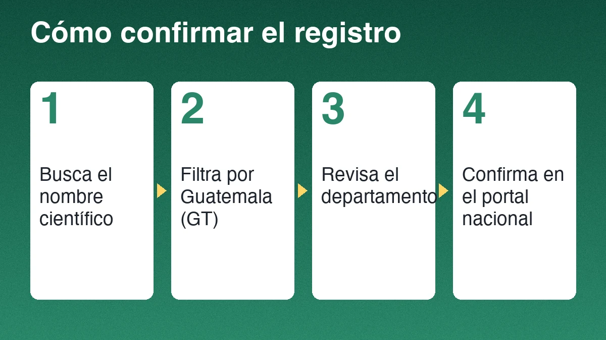 Cuatro pasos para confirmar un registro de gecko común: buscar el nombre científico, filtrar por Guatemala, revisar el departamento y confirmar la condición de especie introducida
