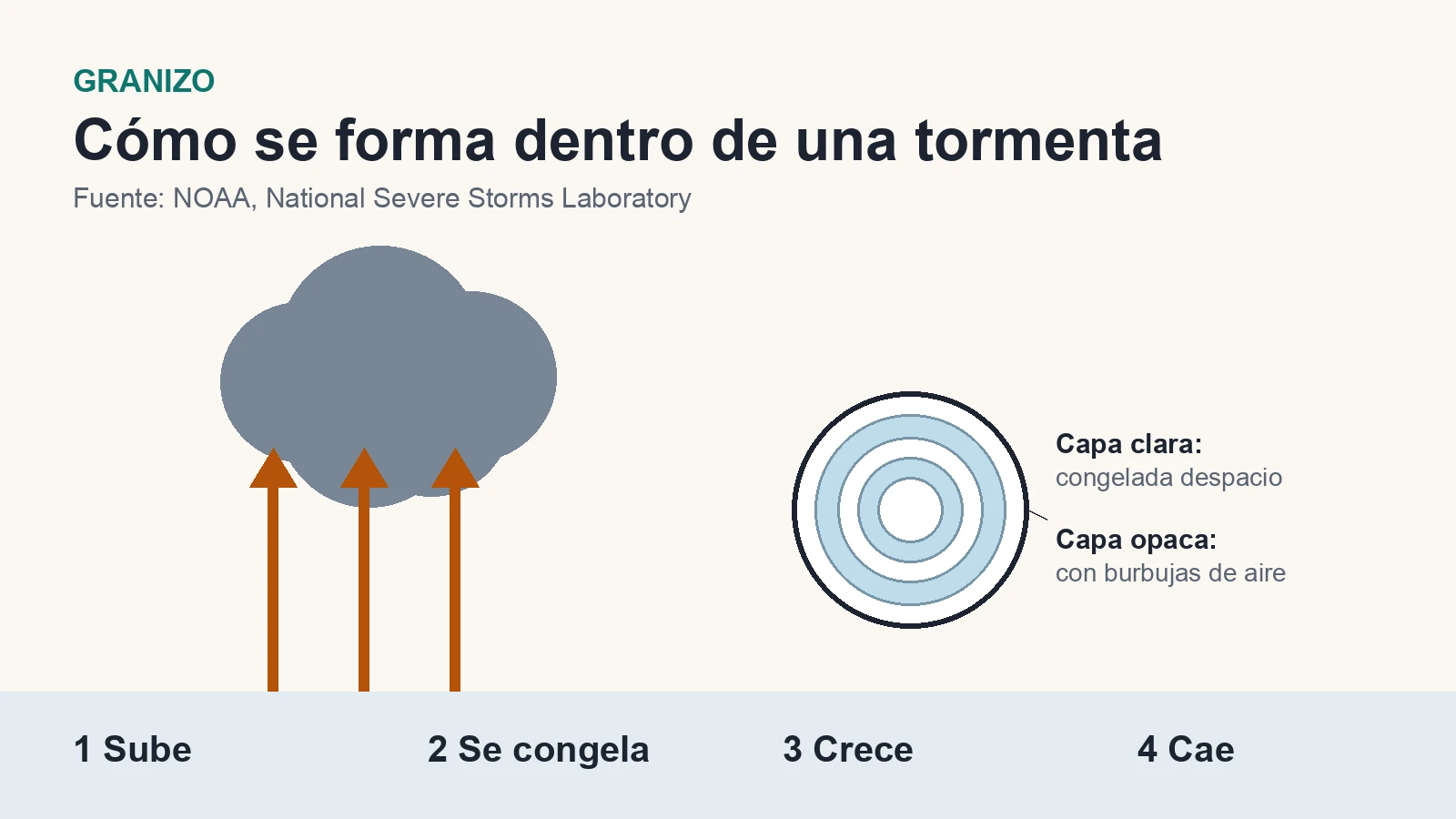 Diagrama de una tormenta con corrientes ascendentes y una piedra de granizo con capas de hielo claro y opaco.
