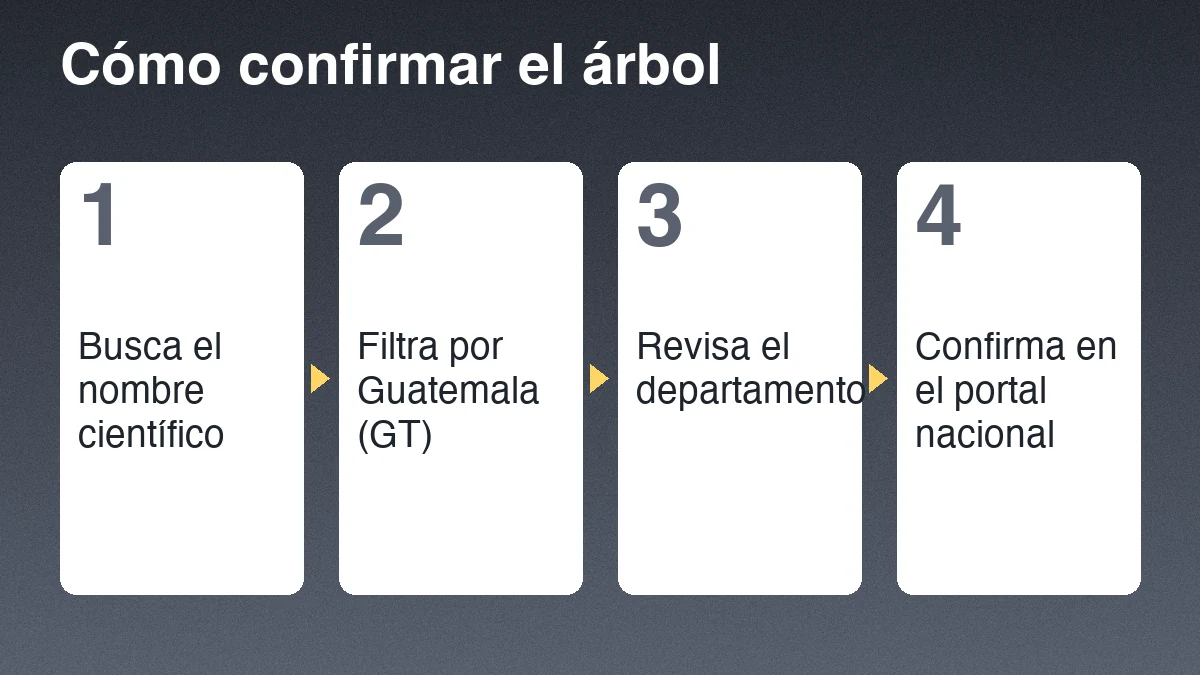 Cuatro pasos para confirmar un registro de guayacán: buscar el nombre científico, filtrar por Guatemala, revisar el departamento y comprobar el sinónimo