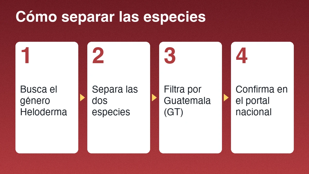 Cuatro pasos para separar las especies de Heloderma: buscar el género, separar las dos especies, filtrar por Guatemala y confirmar en el portal nacional