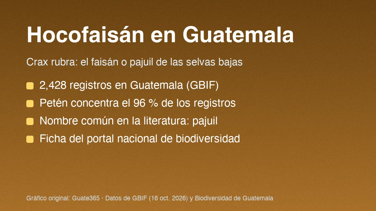 Tarjeta con el título Hocofaisán en Guatemala y cuatro datos de registros y fuentes