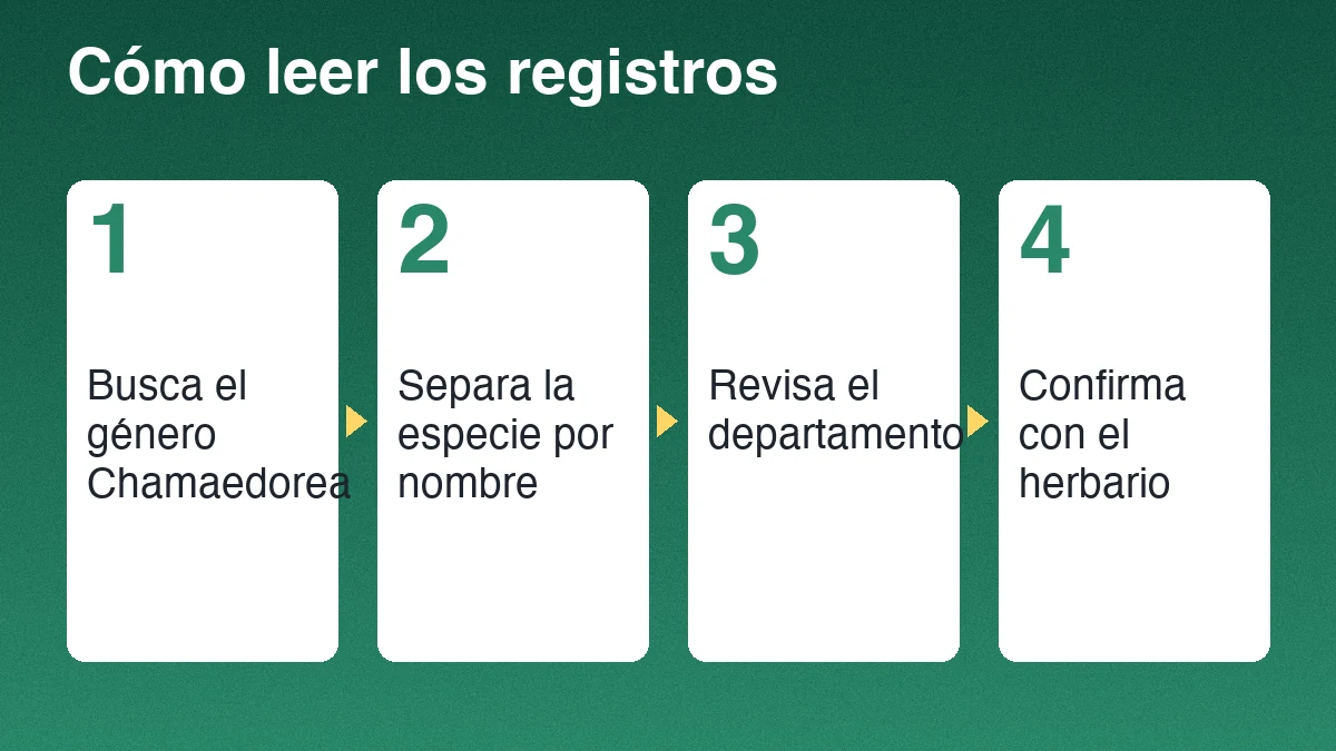 Cuatro pasos para leer los registros de xate: buscar el género, separar la especie, revisar el departamento y confirmar con el herbario