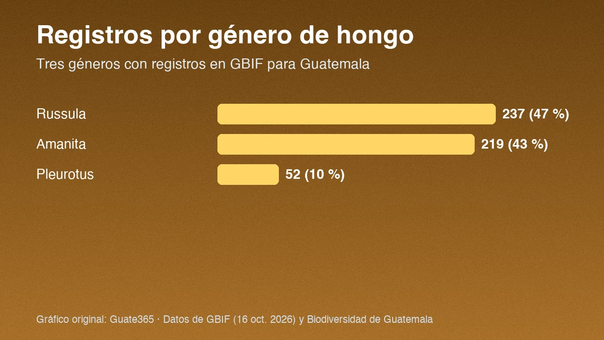 Barras con registros GBIF de tres géneros de hongos en Guatemala: Russula 237, Amanita 219 y Pleurotus 52