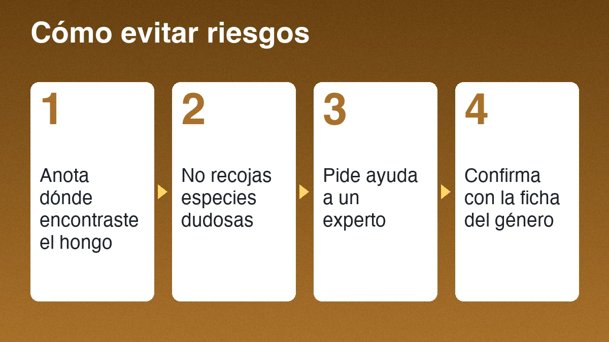 Cuatro pasos para evitar riesgos con hongos silvestres: anotar el lugar, no recoger especies dudosas, pedir ayuda a un experto y confirmar con la ficha del género