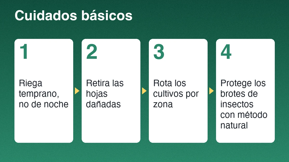 Cuatro cuidados básicos del huerto: regar temprano, retirar las hojas dañadas, rotar los cultivos por zona y proteger los brotes de insectos con un método natural