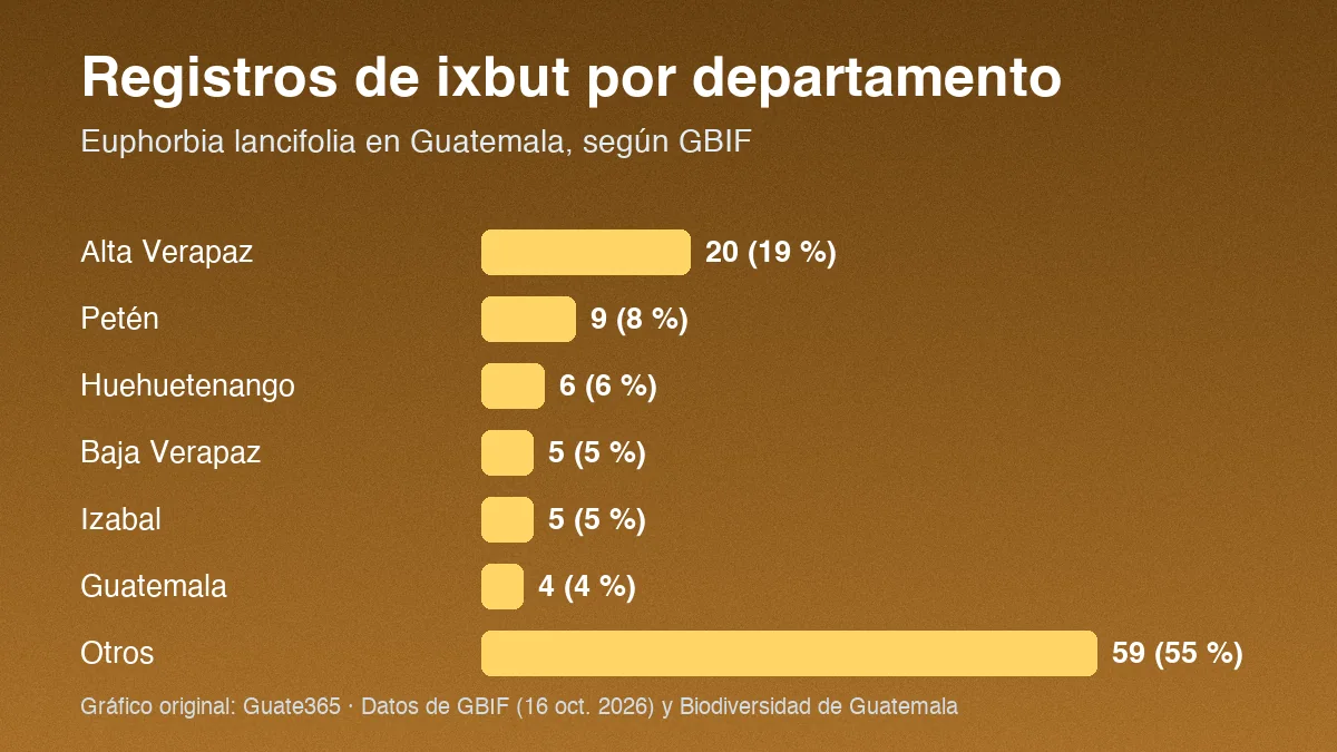 Barras con registros de ixbut por departamento en Guatemala: Alta Verapaz 20, Petén 9, Huehuetenango 6, Baja Verapaz 5, Izabal 5, Guatemala 4 y otros 59