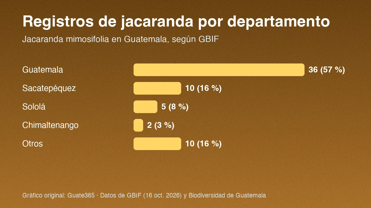 Gráfico de barras con registros de jacaranda por departamento: Guatemala 36, Sacatepéquez 10, Sololá 5