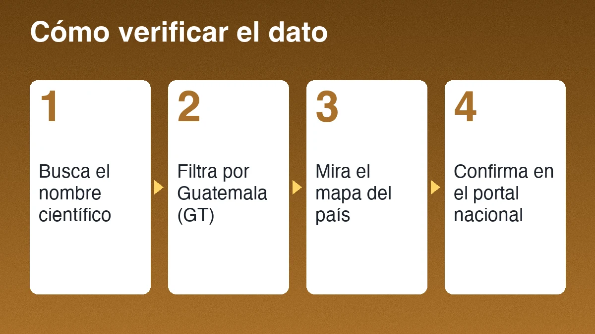 Cuatro pasos para verificar el dato de una especie: busca el nombre científico, filtra por Guatemala, mira el mapa y confirma en el portal nacional