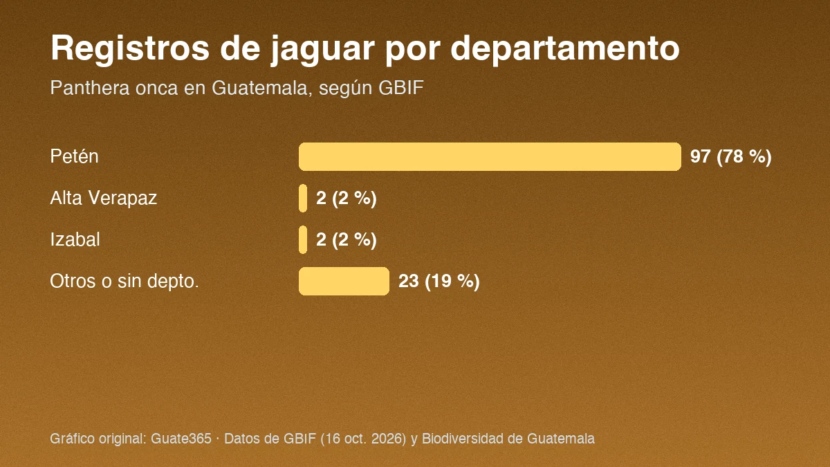 Barras con registros de jaguar por departamento en Guatemala: Petén 97, Izabal 2, Alta Verapaz 2 y otros 23