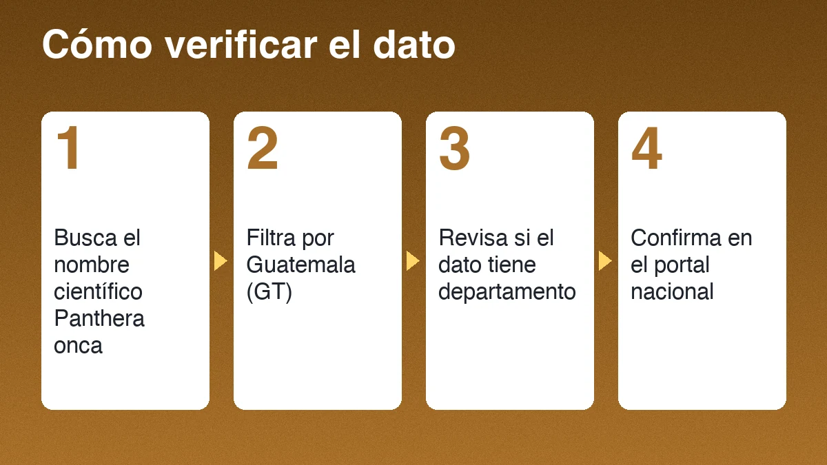 Cuatro pasos para verificar un registro de jaguar: buscar el nombre científico, filtrar por Guatemala, revisar el departamento y confirmar en el portal nacional