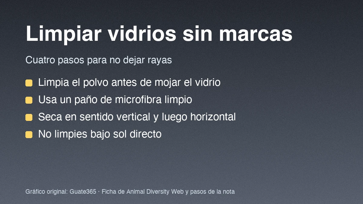 Cómo limpiar vidrios sin dejar marcas en casa