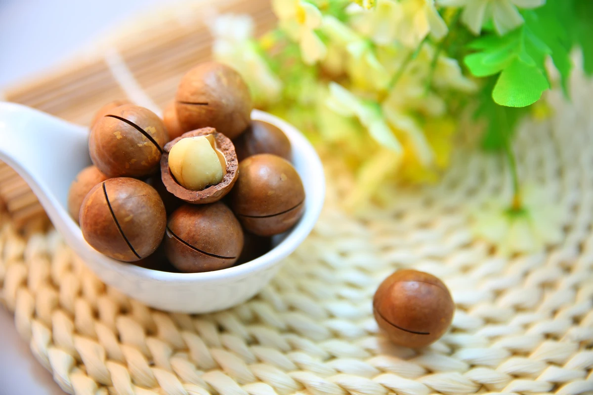 Nueces de macadamia con cáscara en un cuenco blanco, con una partida por la mitad que deja ver la almendra cremosa