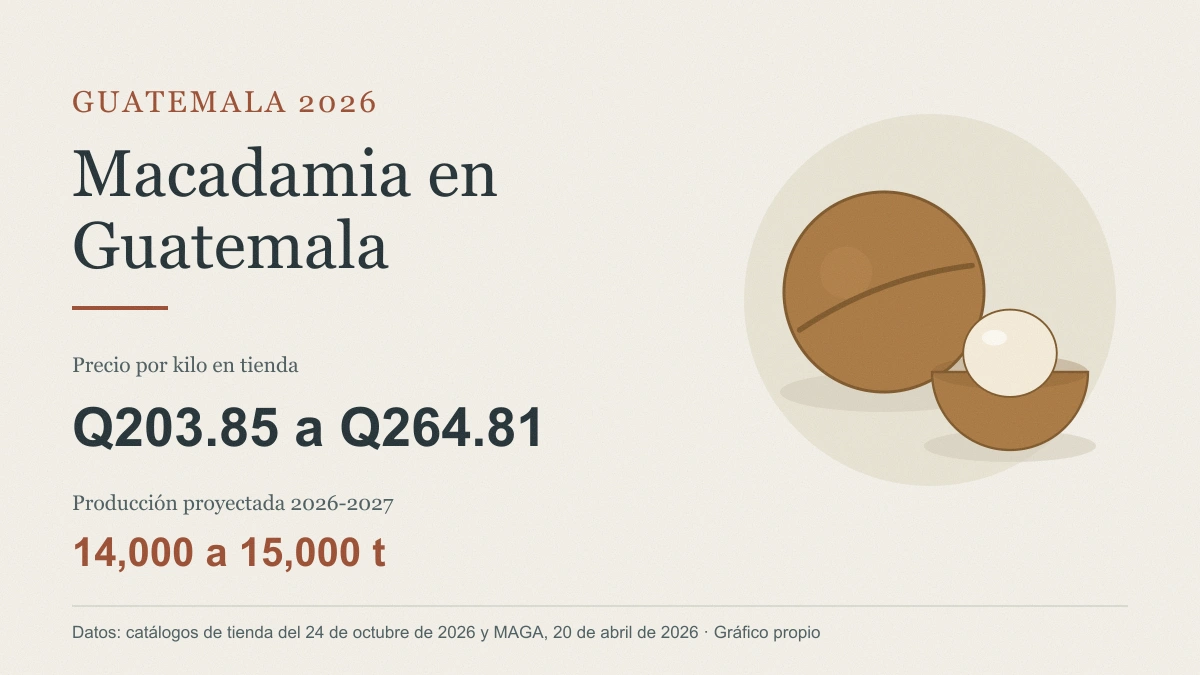 Portada con una nuez de macadamia abierta, el rango de precio de Q203.85 a Q264.81 el kilo y la producción proyectada de 14,000 a 15,000 toneladas