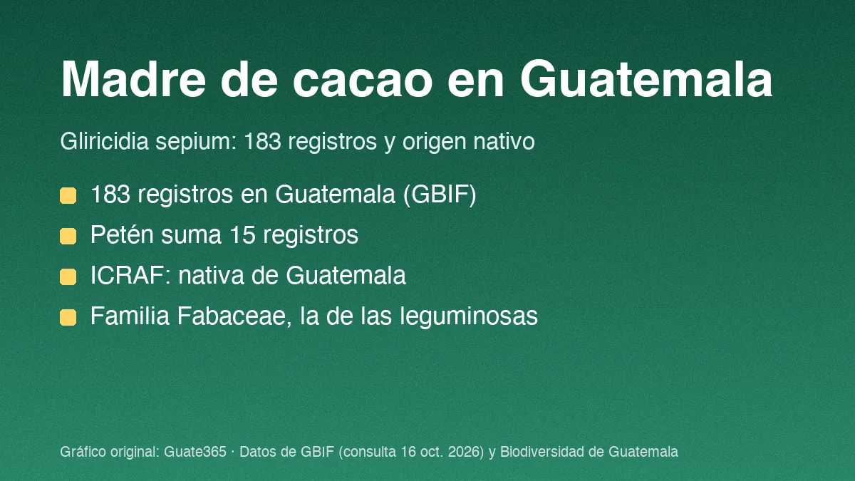 Tarjeta con el título Madre de cacao en Guatemala y cuatro datos de registros y origen de Gliricidia sepium