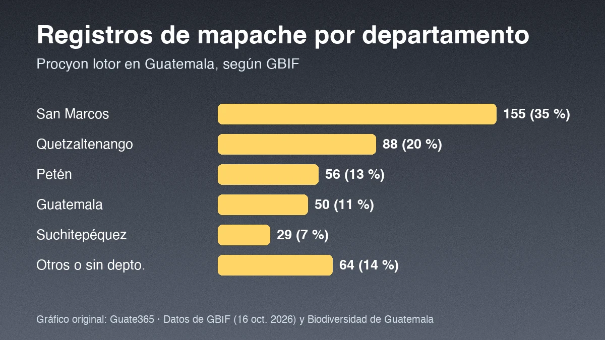 Barras con registros de mapache por departamento en Guatemala: San Marcos 155, Quetzaltenango 88, Petén 56, Guatemala 50, Suchitepéquez 29, otros 64