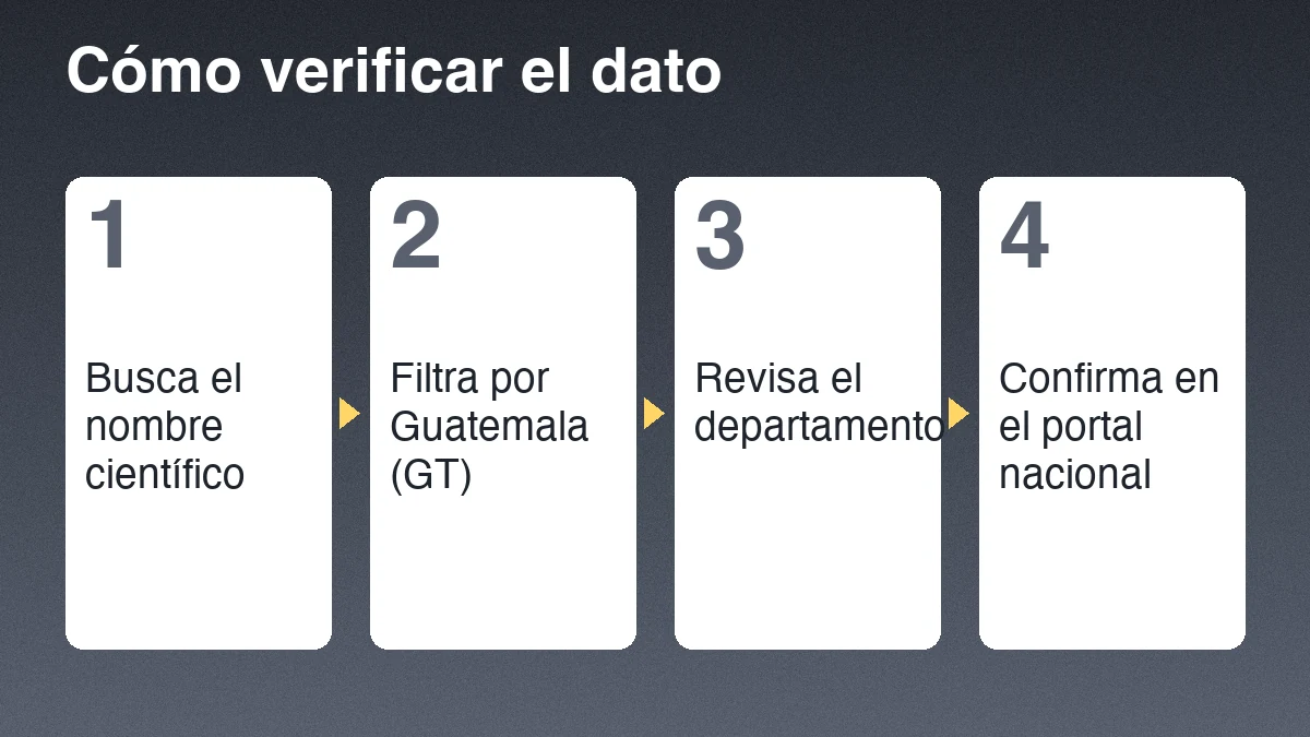 Cuatro pasos para verificar un registro de mapache: buscar el nombre científico, filtrar por Guatemala, revisar el departamento y confirmar en el portal nacional