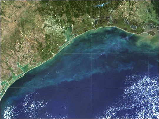 Vista satelital de una costa con agua verdosa y azul, teñida por una floración de algas