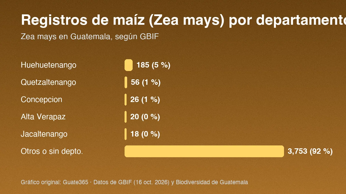 Barras con registros de maíz por departamento en Guatemala: Huehuetenango 185, Quetzaltenango 56, Alta Verapaz 20, otros 3,753