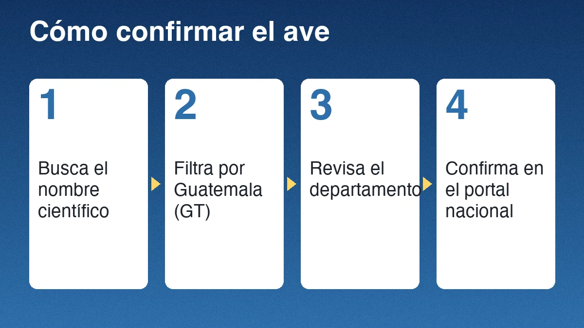 Cuatro pasos para confirmar un registro de momot de corona azul: buscar el nombre científico, filtrar por Guatemala, revisar el departamento y confirmar en el portal nacional