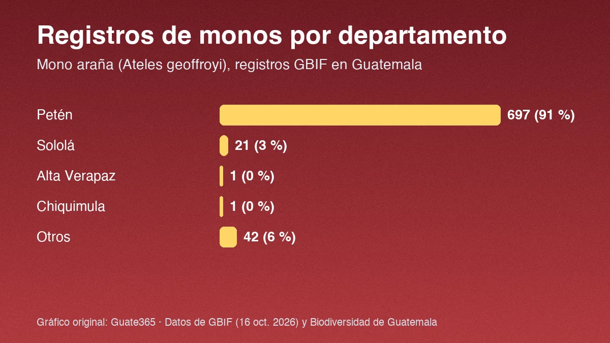 Gráfico de barras con registros de mono araña por departamento: Petén 697, Sololá 21, Alta Verapaz 1