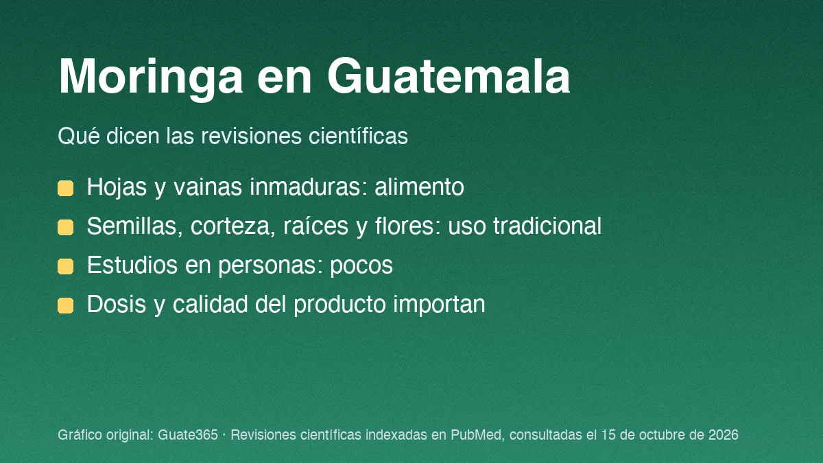 Tarjeta sobre la moringa con sus partes de uso, la poca evidencia en personas y los riesgos según la dosis