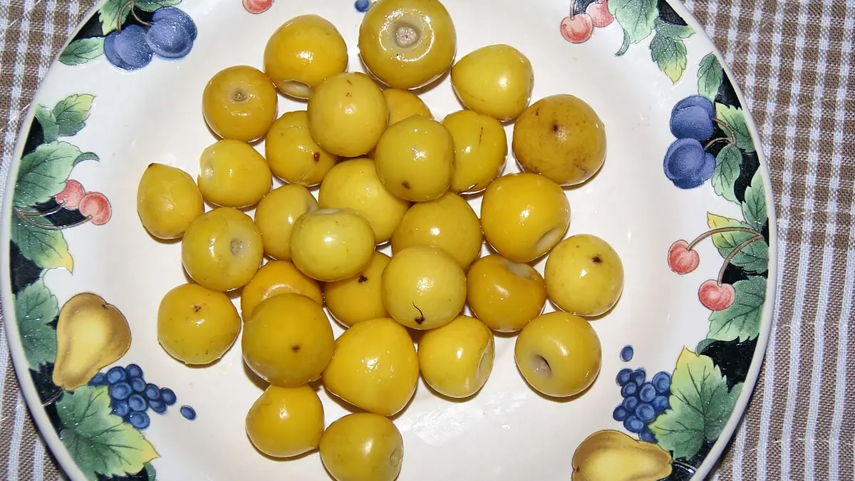Nance en Guatemala: fruta, árbol y valor nutricional